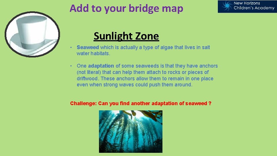 Add to your bridge map Sunlight Zone • Seaweed which is actually a type