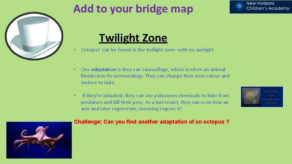 Add to your bridge map Twilight Zone • Octopus’ can be found in the