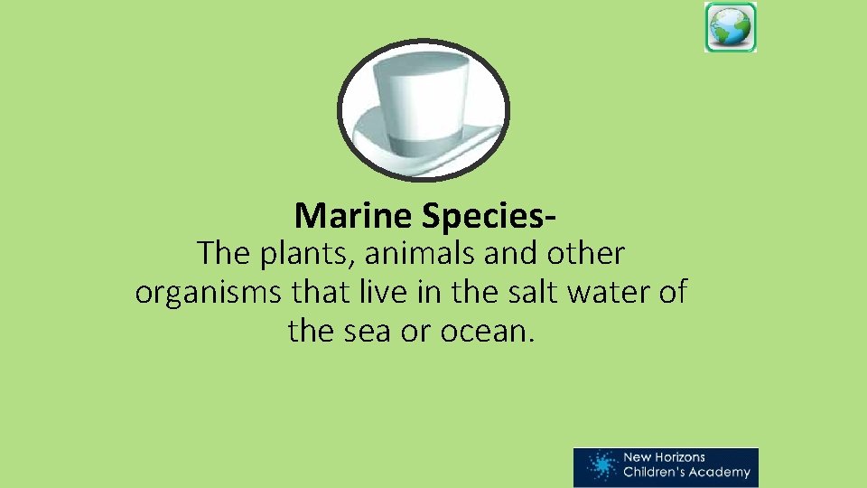 Marine Species- The plants, animals and other organisms that live in the salt water