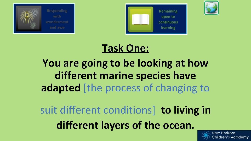 Task One: You are going to be looking at how different marine species have