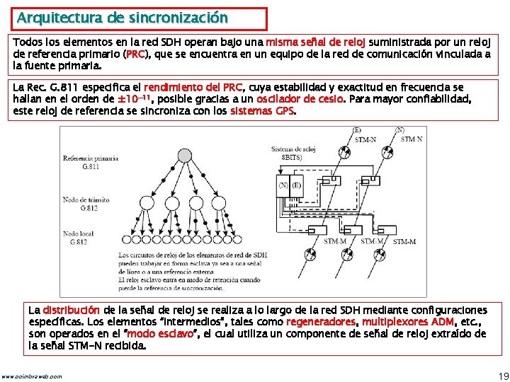 Arquitectura de sincronización Todos los elementos en la red SDH operan bajo una misma