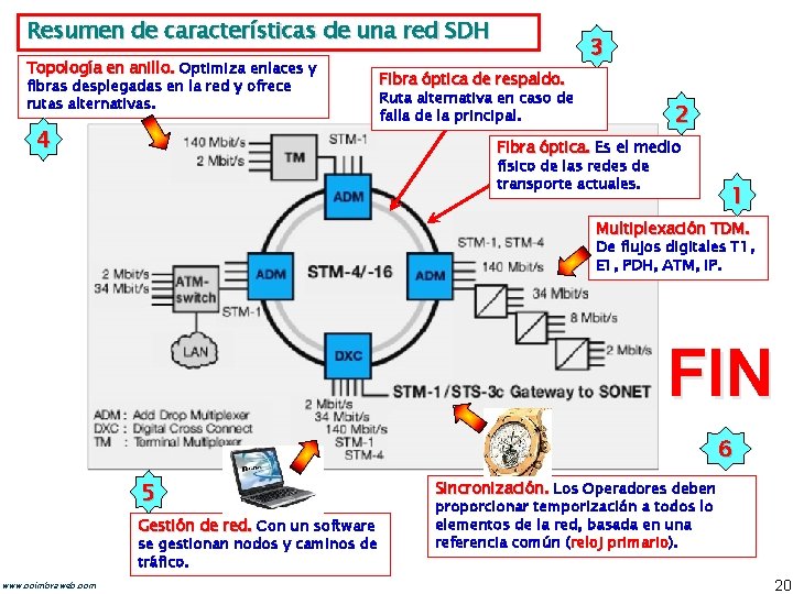 Resumen de características de una red SDH Topología en anillo. Optimiza enlaces y fibras