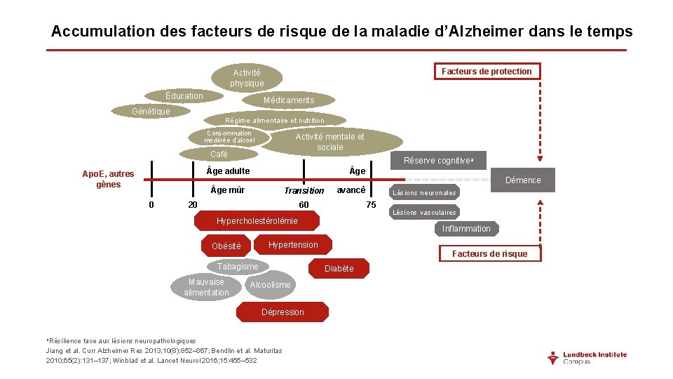 Accumulation des facteurs de risque de la maladie d’Alzheimer dans le temps Facteurs de