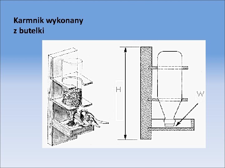 Karmnik wykonany z butelki 