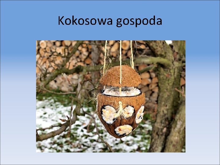 Kokosowa gospoda 