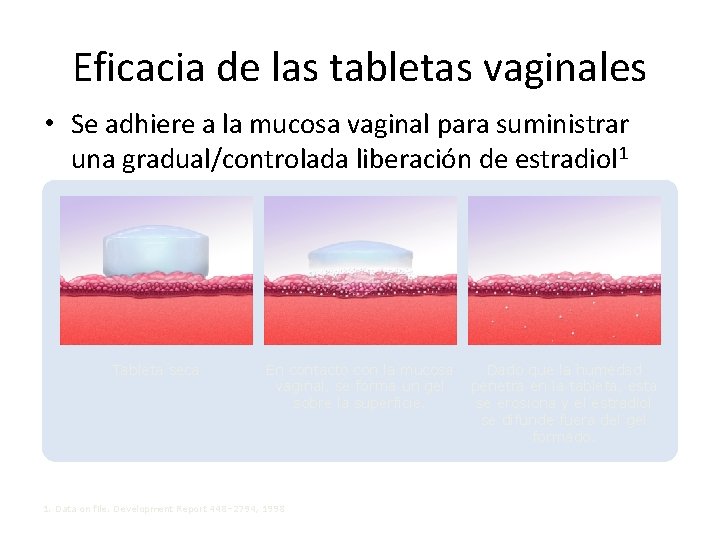 Eficacia de las tabletas vaginales • Se adhiere a la mucosa vaginal para suministrar