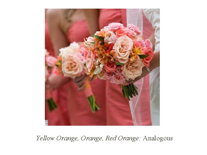 Yellow Orange, Red Orange: Analogous 