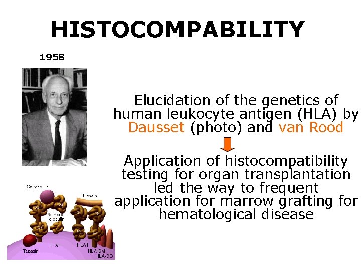 HISTOCOMPABILITY 1958 Elucidation of the genetics of human leukocyte antigen (HLA) by Dausset (photo)