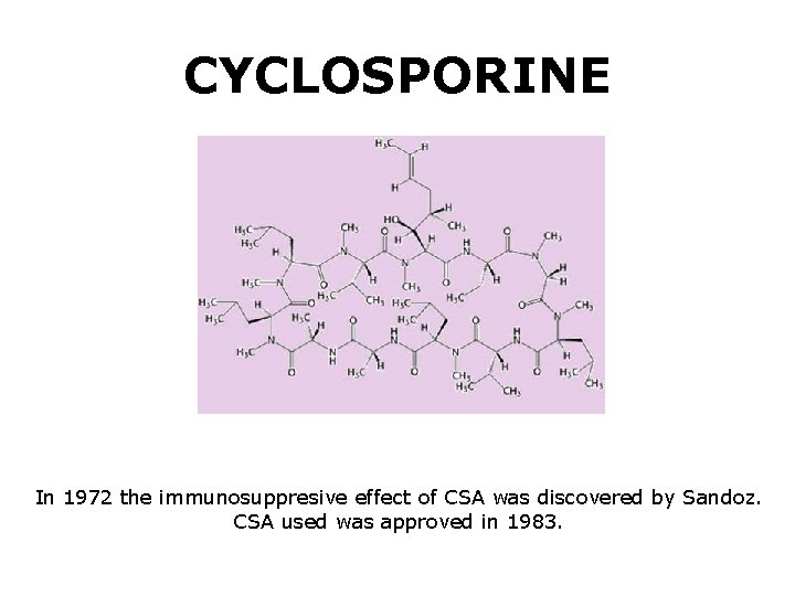 CYCLOSPORINE In 1972 the immunosuppresive effect of CSA was discovered by Sandoz. CSA used
