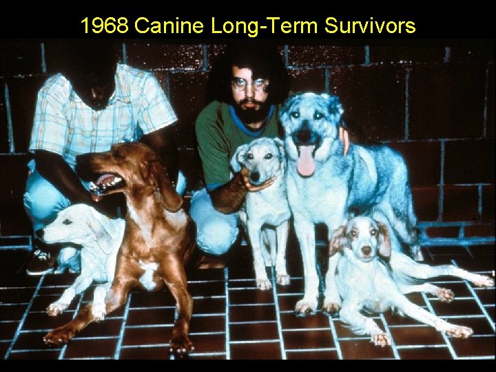 1968 Canine Long-Term Survivors 23 