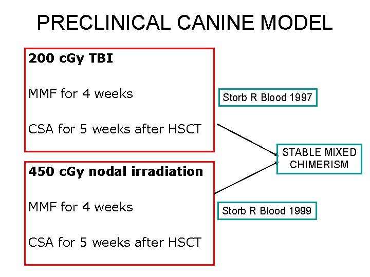 PRECLINICAL CANINE MODEL 200 c. Gy TBI MMF for 4 weeks Storb R Blood