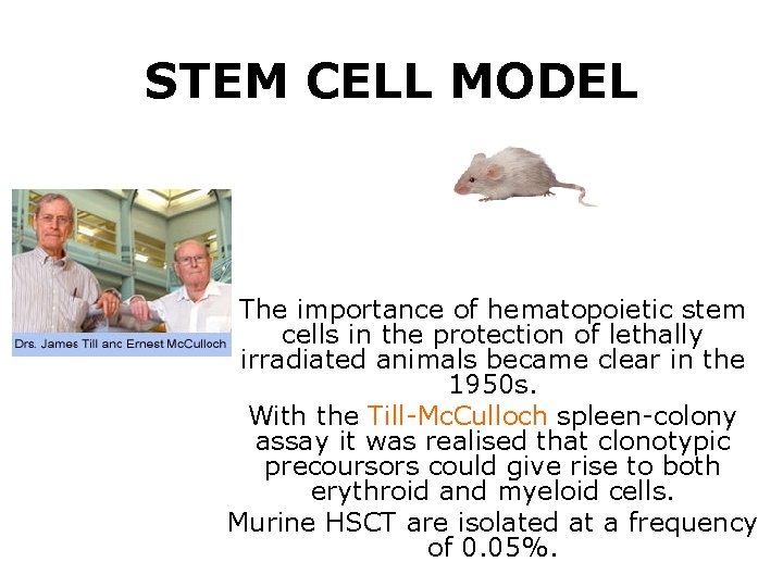 STEM CELL MODEL The importance of hematopoietic stem cells in the protection of lethally