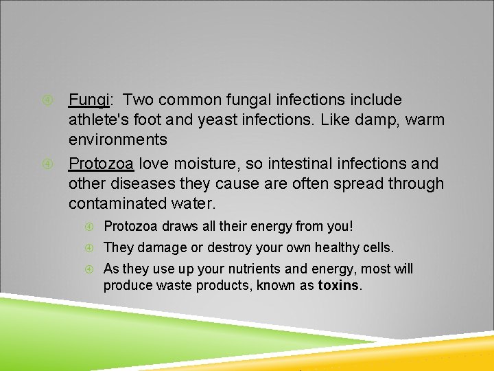 Fungi: Two common fungal infections include athlete's foot and yeast infections. Like damp, warm