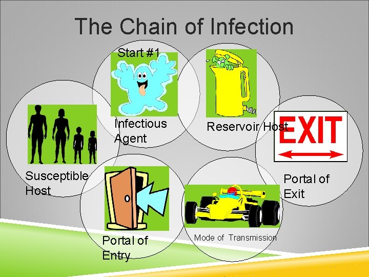 The Chain of Infection Start #1 Infectious Agent Reservoir Host Susceptible Host Portal of
