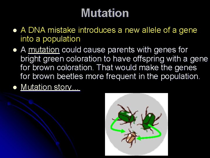 Mutation l l l A DNA mistake introduces a new allele of a gene