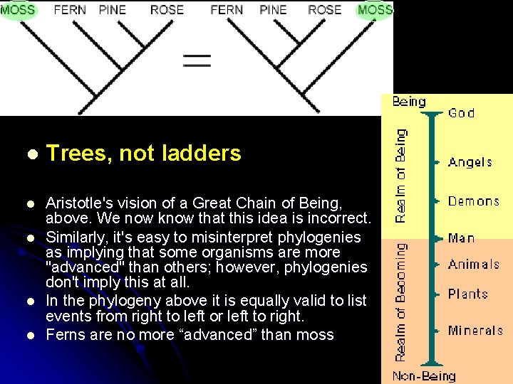 l Trees, not ladders l Aristotle's vision of a Great Chain of Being, above.