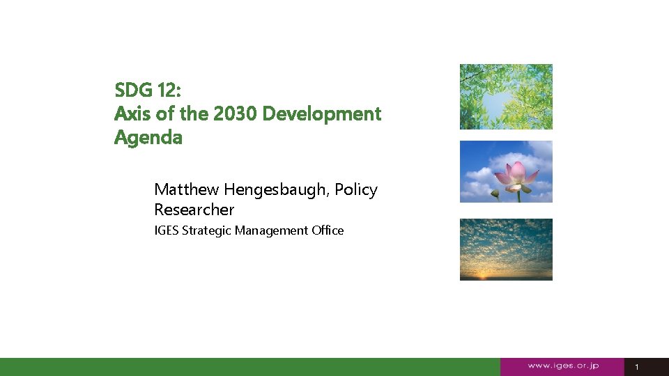 SDG 12: Axis of the 2030 Development Agenda Matthew Hengesbaugh, Policy Researcher IGES Strategic