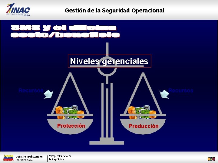 Gestión de la Seguridad Operacional Niveles gerenciales Protección Gobierno Bolivariano de Venezuela Vicepresidencia de