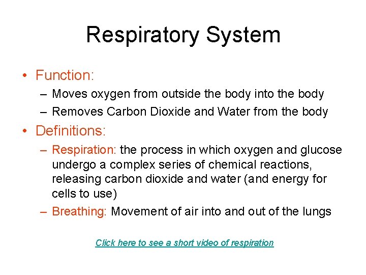 Respiratory System • Function: – Moves oxygen from outside the body into the body