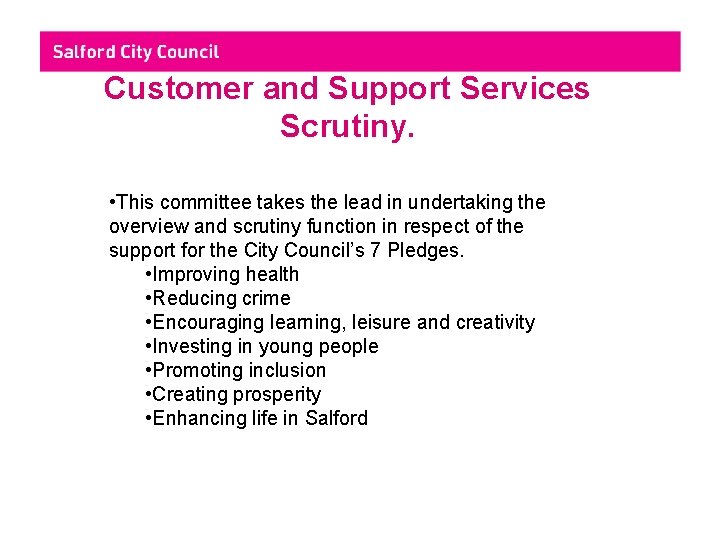 Customer and Support Services Scrutiny. • This committee takes the lead in undertaking the