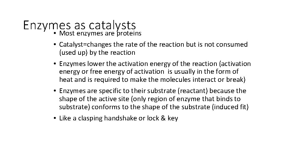 Enzymes as catalysts • Most enzymes are proteins • Catalyst=changes the rate of the