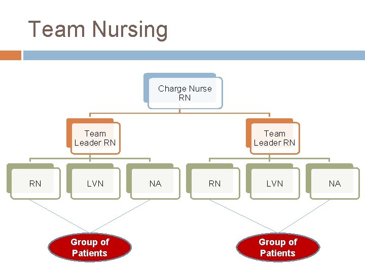 Team Nursing Charge Nurse RN Team Leader RN RN LVN Group of Patients Team