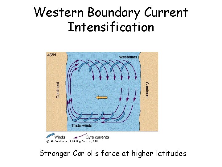 Western Boundary Current Intensification Stronger Coriolis force at higher latitudes 