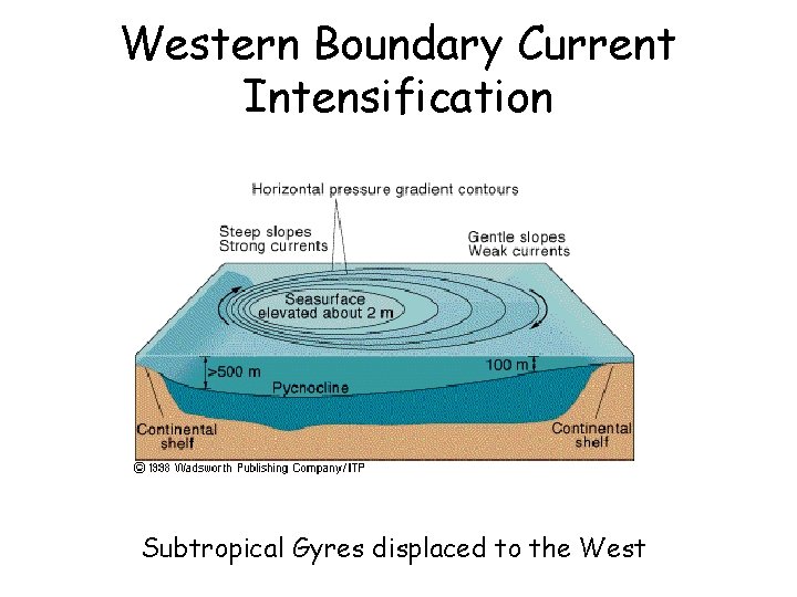 Western Boundary Current Intensification Subtropical Gyres displaced to the West 
