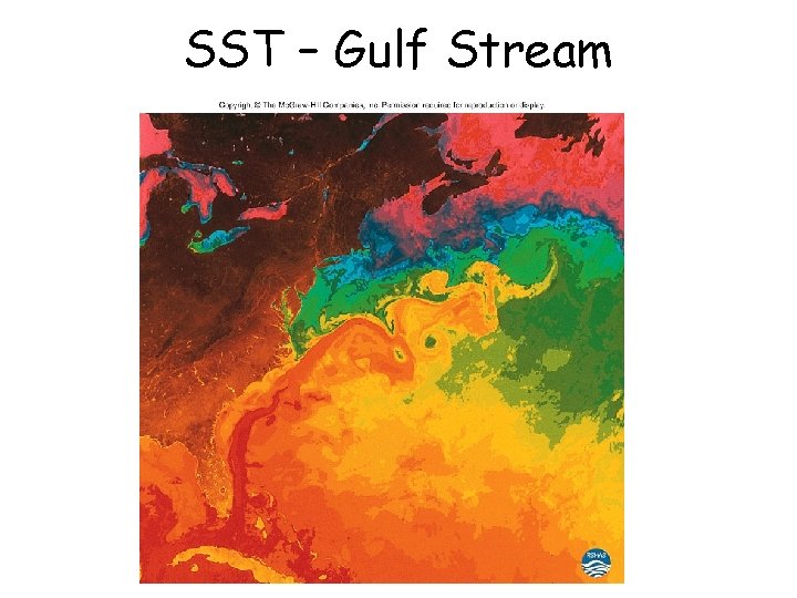 SST – Gulf Stream 