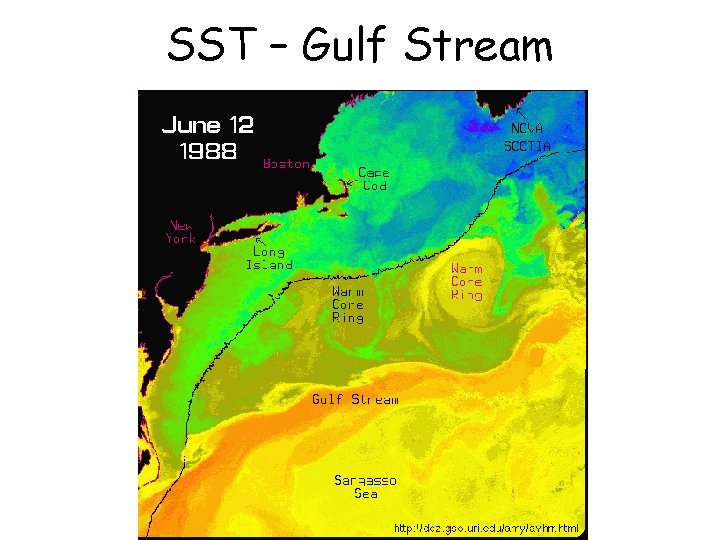 SST – Gulf Stream 