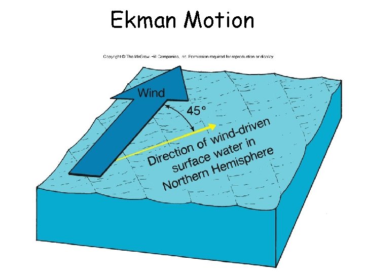 Ekman Motion 