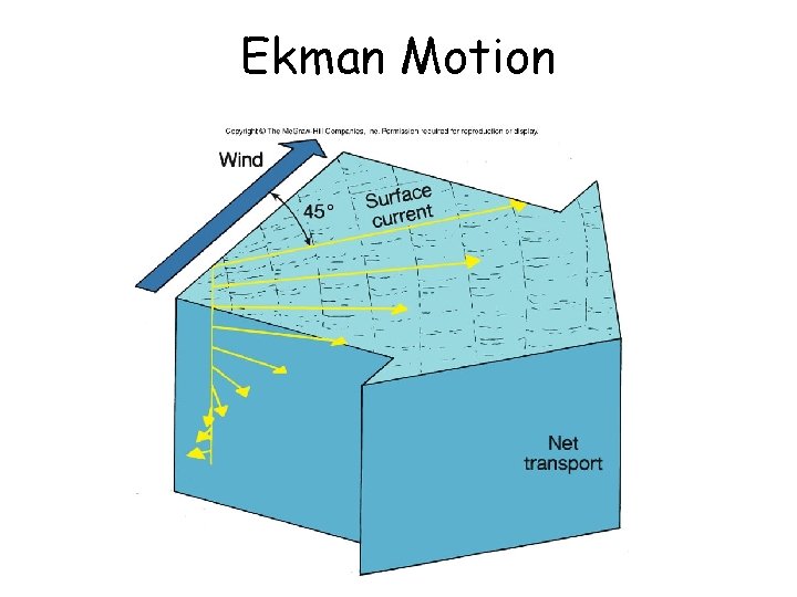 Ekman Motion 