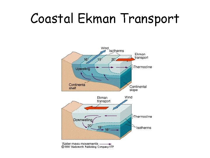 Coastal Ekman Transport 
