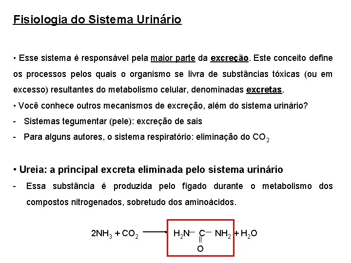 Fisiologia do Sistema Urinário • Esse sistema é responsável pela maior parte da excreção.