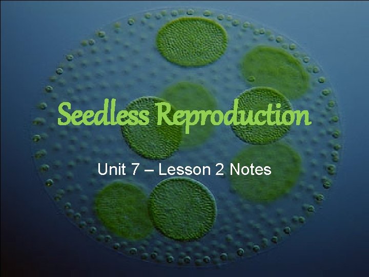 Seedless Reproduction Unit 7 – Lesson 2 Notes Seedless Reproduction Unit 7 – Lesson 2 Notes