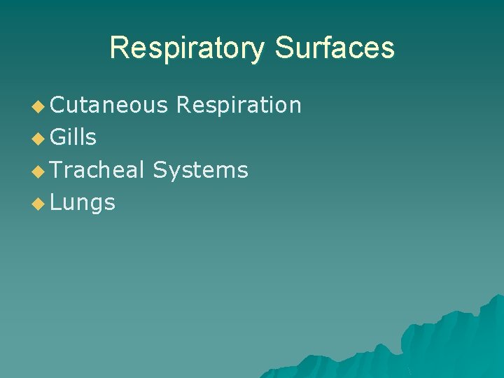 Respiratory Surfaces u Cutaneous Respiration u Gills u Tracheal u Lungs Systems 