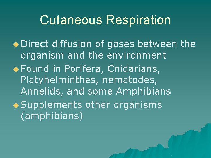 Cutaneous Respiration u Direct diffusion of gases between the organism and the environment u