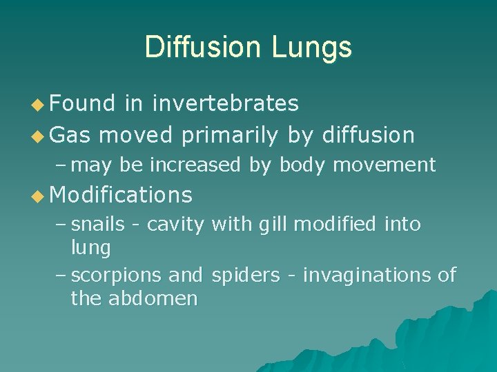 Diffusion Lungs u Found in invertebrates u Gas moved primarily by diffusion – may