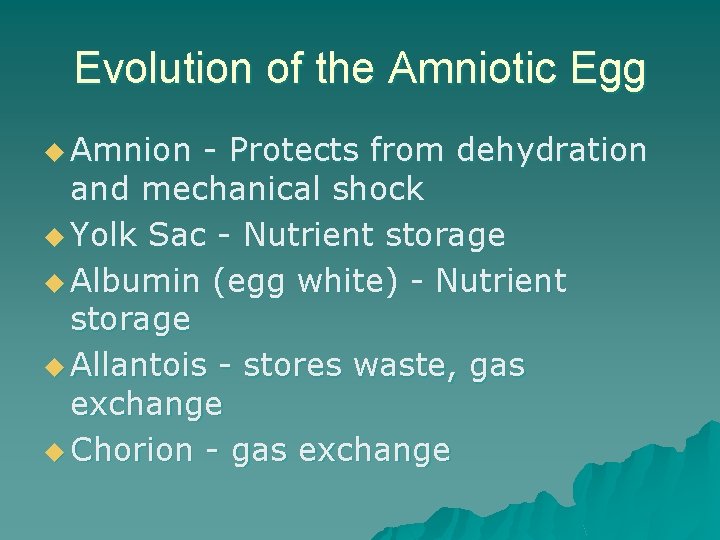 Evolution of the Amniotic Egg u Amnion - Protects from dehydration and mechanical shock