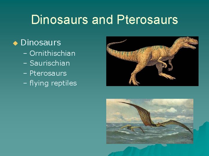 Dinosaurs and Pterosaurs u Dinosaurs – Ornithischian – Saurischian – Pterosaurs – flying reptiles