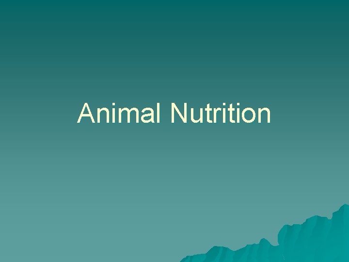 Animal Nutrition 