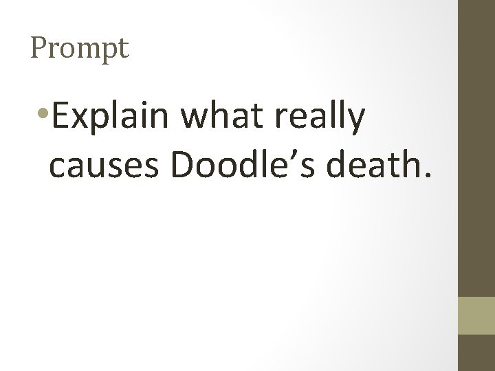 Prompt • Explain what really causes Doodle’s death. 