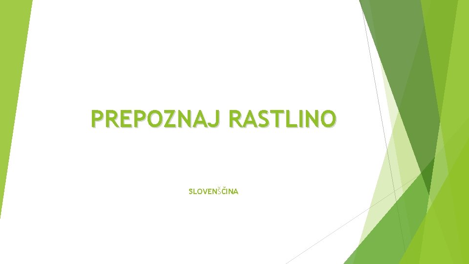 PREPOZNAJ RASTLINO SLOVENŠČINA 