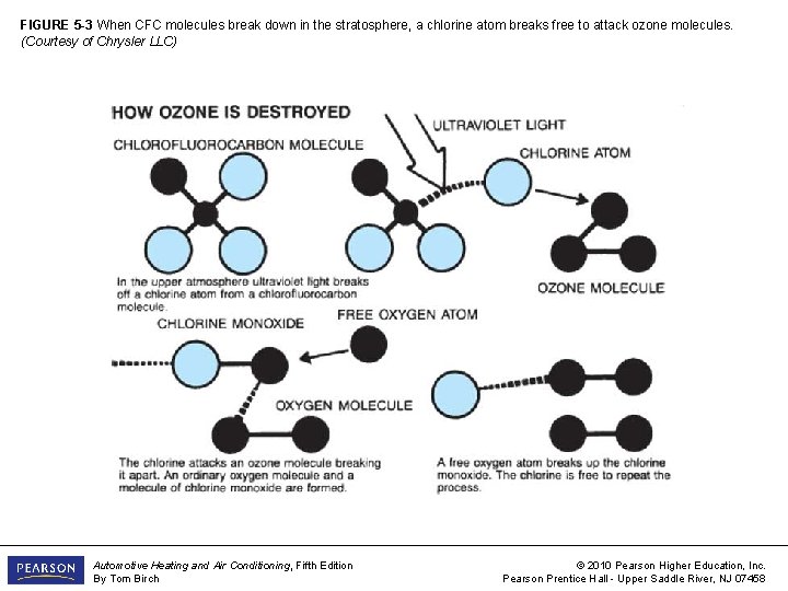 FIGURE 5 -3 When CFC molecules break down in the stratosphere, a chlorine atom