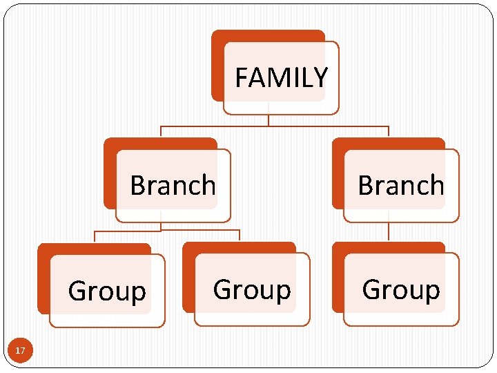 FAMILY Branch Group 17 Group Branch Group 
