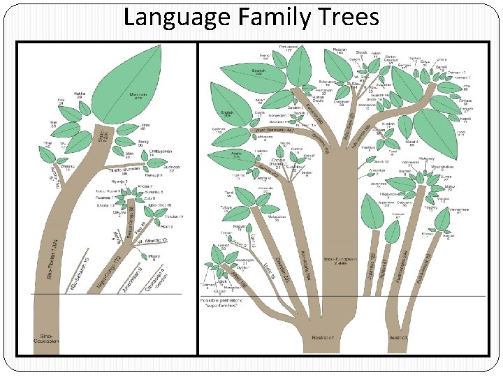 Language Family Trees 