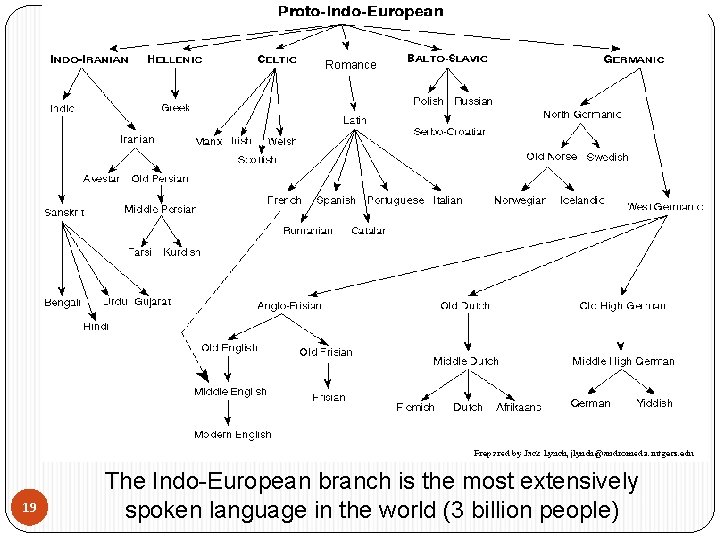 Romance 19 The Indo-European branch is the most extensively spoken language in the world