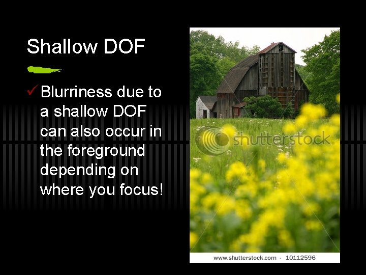 Shallow DOF ü Blurriness due to a shallow DOF can also occur in the