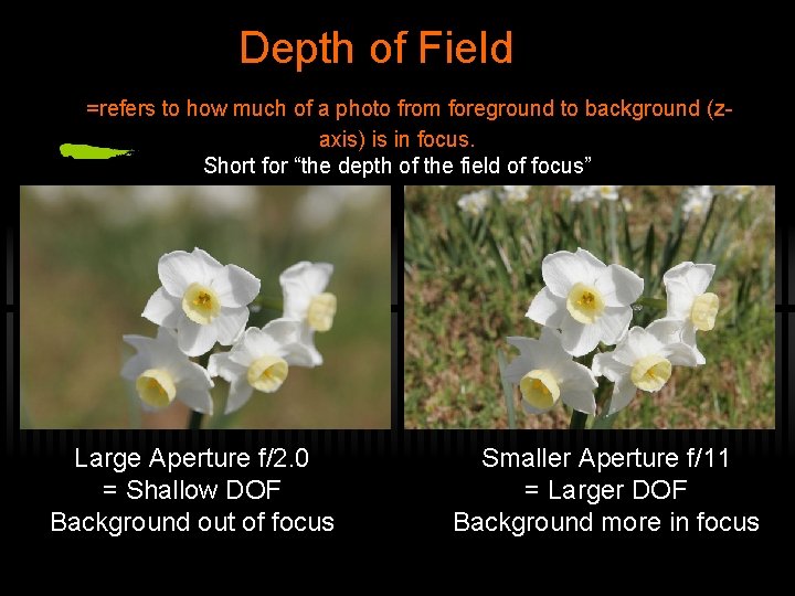 Depth of Field =refers to how much of a photo from foreground to background