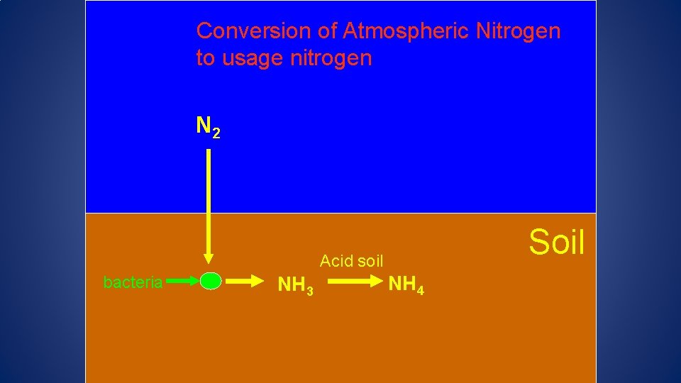 Conversion of Atmospheric Nitrogen to usage nitrogen N 2 Soil Acid soil bacteria NH